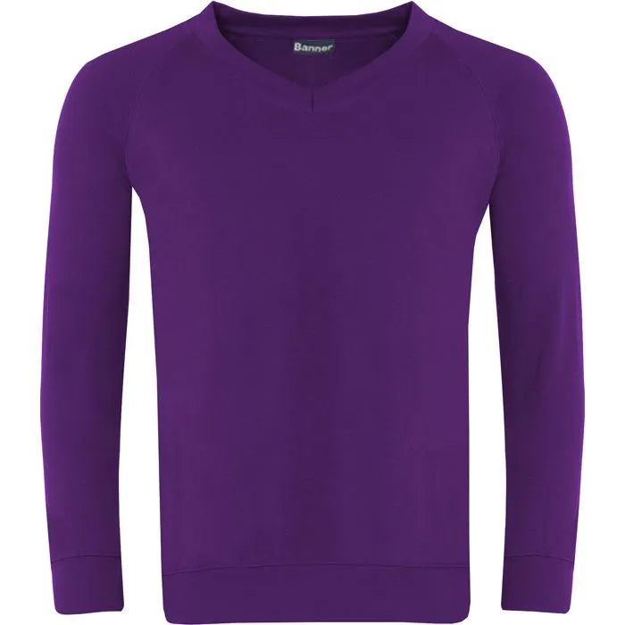 Classic V-Neck Sweatshirt 0308
