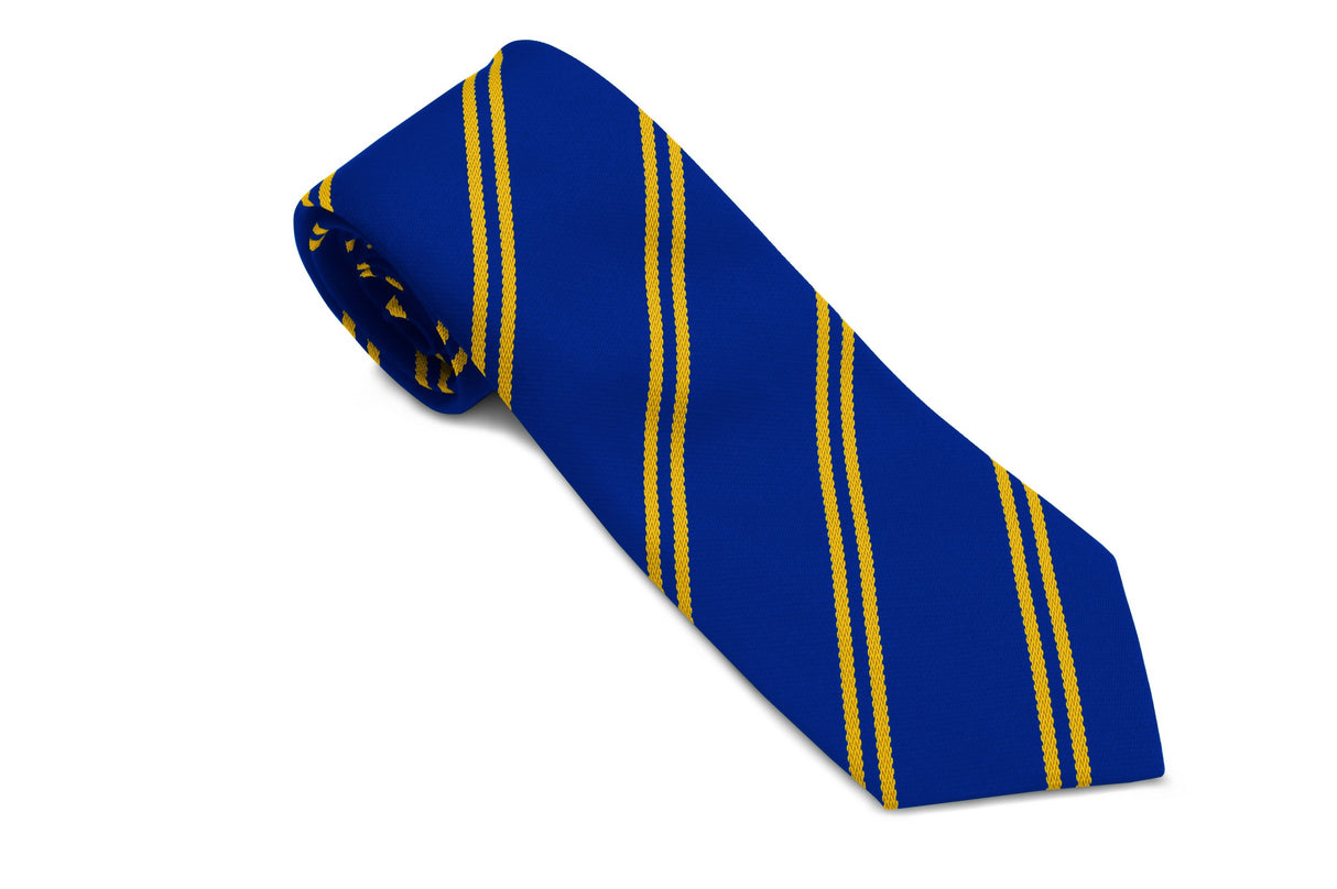 Pairc Primary School Royal/Gold double Striped Tie