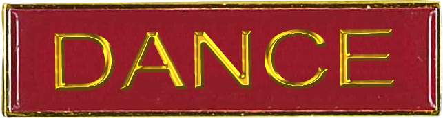 Stock Enamel Square End Enamel Bar Badges (6640) - Leonard Hudson Trade Store