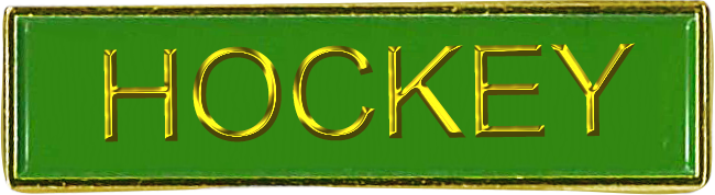 Stock Enamel Square End Enamel Bar Badges (6640) - Leonard Hudson Trade Store