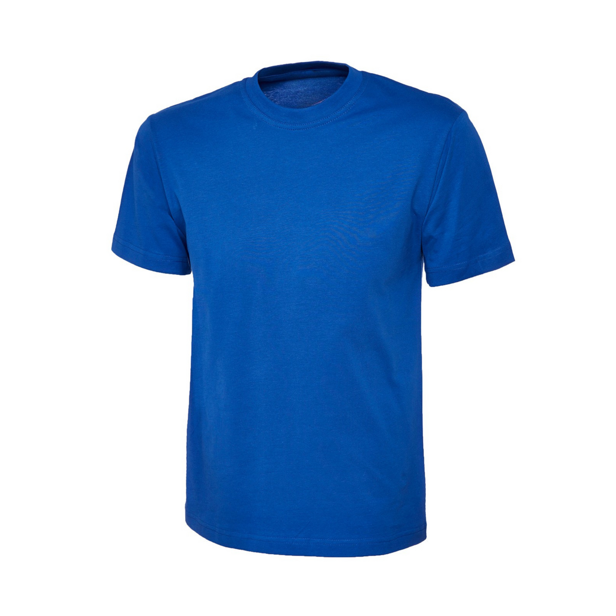 Applegrove Primary School Royal T Shirt