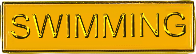 Stock Enamel Square End Enamel Bar Badges (6640) - Leonard Hudson Trade Store