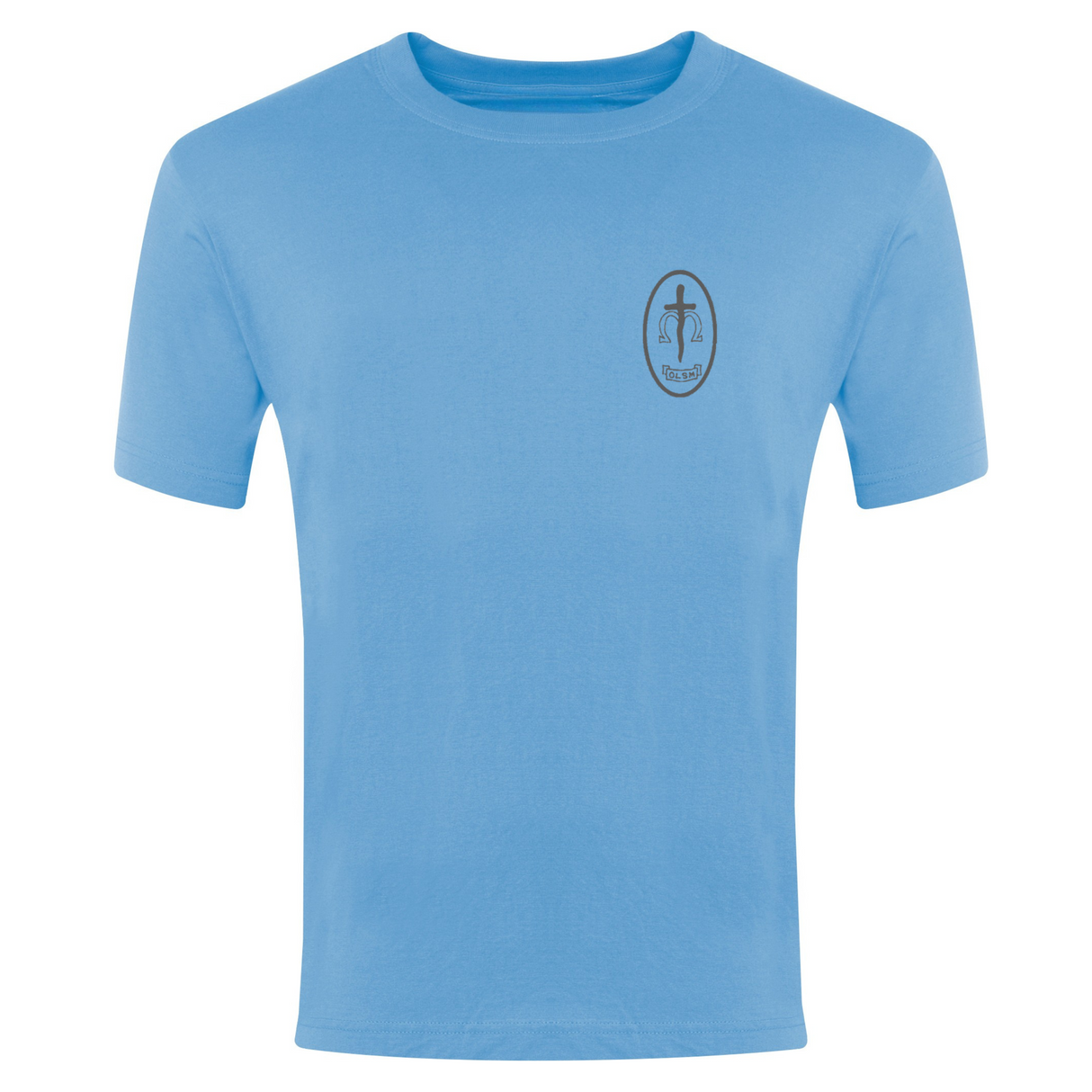 Our Lady and St Michaels School Sky T Shirt with logo (Print)