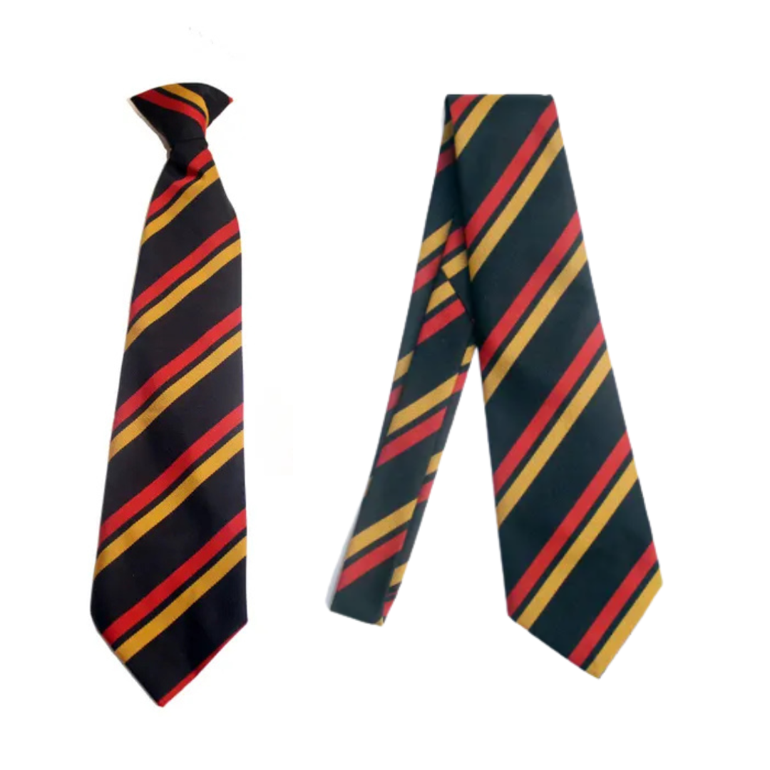 Queen Elizabeth High School Ties - Clip on & 52"