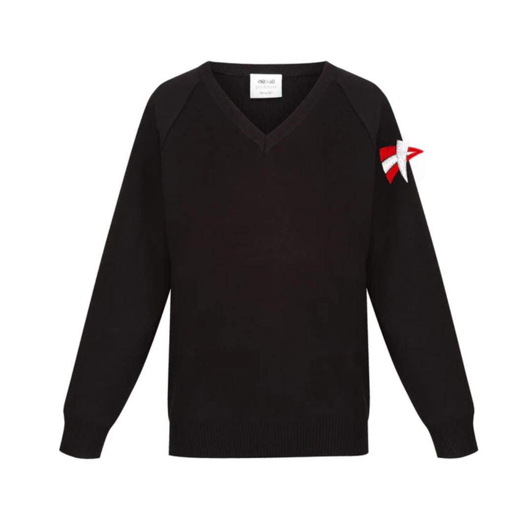 Braes High School Knitted Jumper with logo (EMB)