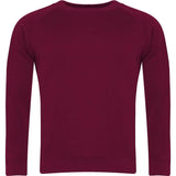 Select Raglan Sweatshirt 0277