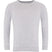 light grey raglan sweatshirt with long sleeves and crew neck, plain front