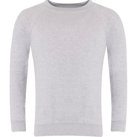 light grey raglan sweatshirt with long sleeves and crew neck, plain front