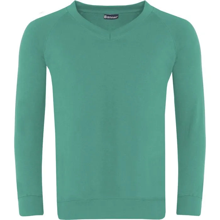 Classic V-Neck  Sweatshirt 0308
