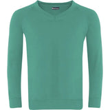 Classic V-Neck  Sweatshirt 0308