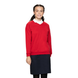 Classic V-Neck  Sweatshirt 0308