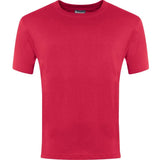 Champion T-Shirt | Boys, Girls & Adult T-Shirts 1629