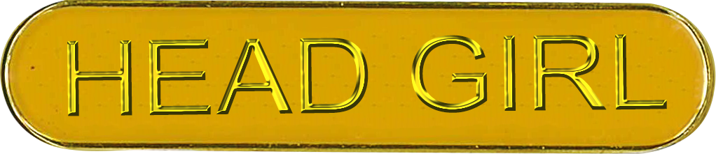 Round End Enamel Bar Badges (6630) - Leonard Hudson Trade Store