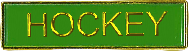 Stock Enamel Square End Enamel Bar Badges (6640) - Leonard Hudson Trade Store