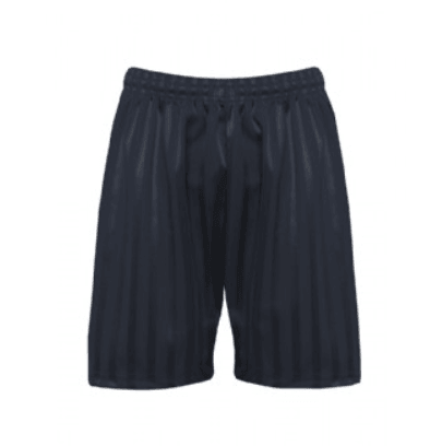 Back School Shadow Stripe Shorts